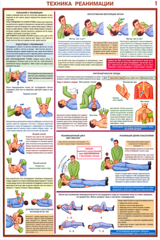 ПС02 Оказание первой помощи пострадавшим (ламинированная бумага, a2, 6 листов) - Плакаты - Медицинская помощь - Магазин охраны труда Протекторшоп