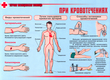 ПВ05 Первая помощь при чрезвычайных ситуациях (самокл.пленка, А3, 9 листов) - Плакаты - Медицинская помощь - Магазин охраны труда Протекторшоп
