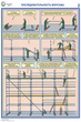ПС26 Строительные леса (конструкции, монтаж, проверка на безопасность) (ламинированная бумага, a2, 3 листа) - Охрана труда на строительных площадках - Плакаты для строительства - Магазин охраны труда Протекторшоп